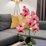 Izabella Apartamento
